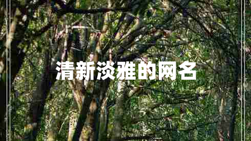 清新淡雅的网名