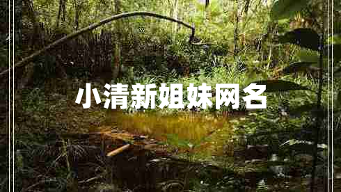 小清新姐妹网名