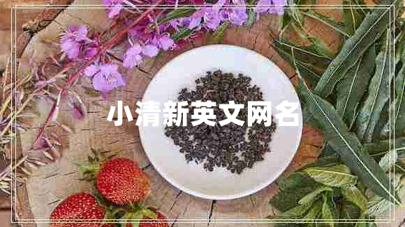 小清新英文网名
