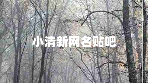 小清新网名贴吧