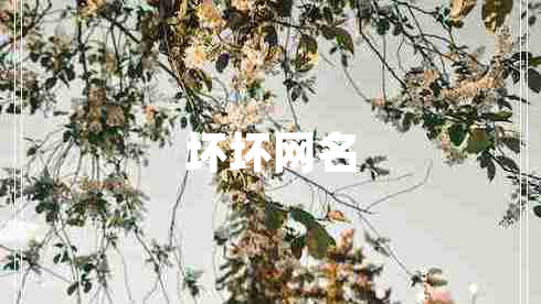 坏坏网名