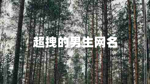 超拽的男生网名