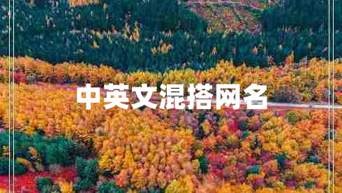 中英文混搭网名