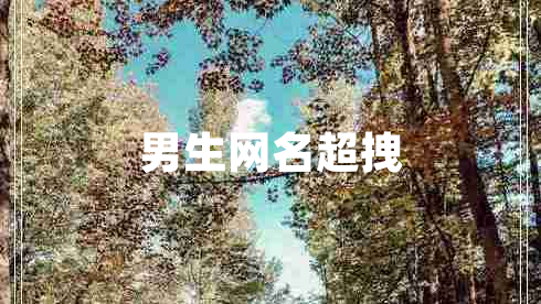 男生网名超拽