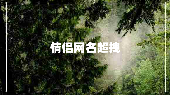 情侣网名超拽
