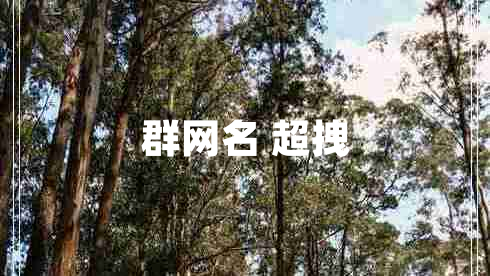 群网名 超拽 群网名 超拽