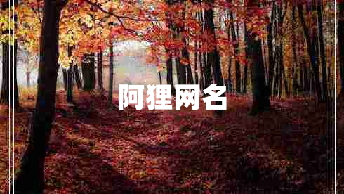 阿狸网名
