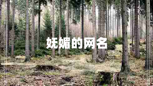 妩媚的网名