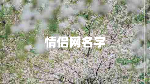 情侣网名字