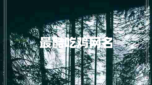 最酷吃鸡网名