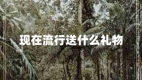 现在流行送什么礼物