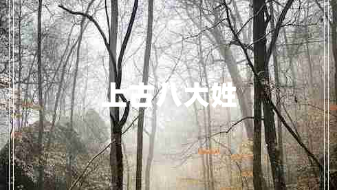 上古八大姓