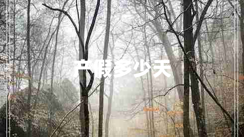 产假多少天