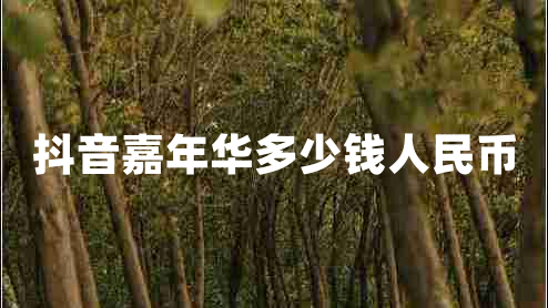 抖音嘉年华多少钱人民币