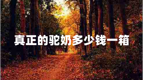 真正的驼奶多少钱一箱