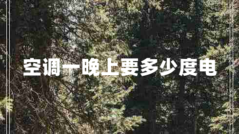 空调一晚上要多少度电