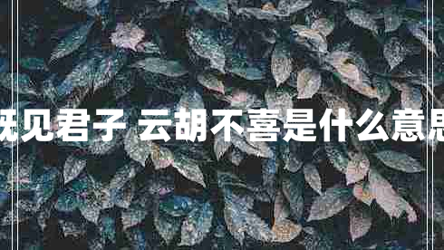 既见君子 云胡不喜是什么意思