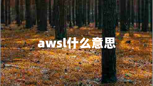 awsl什么意思