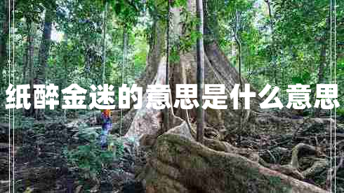 纸醉金迷的意思是什么意思