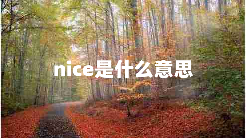 nice是什么意思