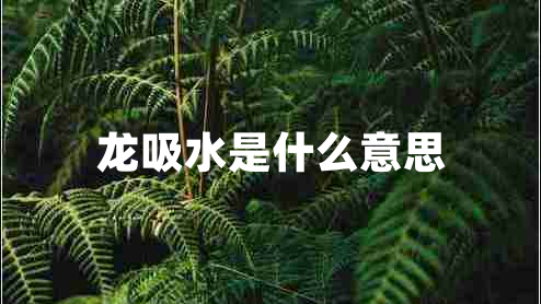 龙吸水是什么意思