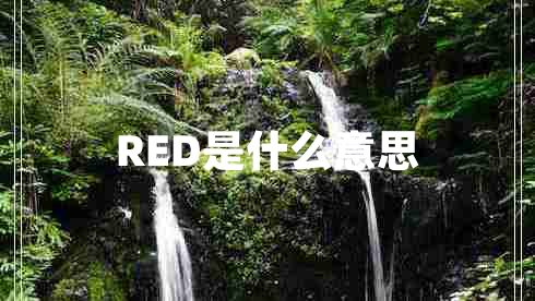 RED是什么意思