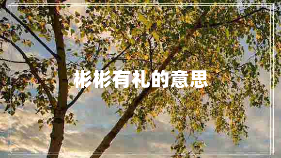 彬彬有礼的意思