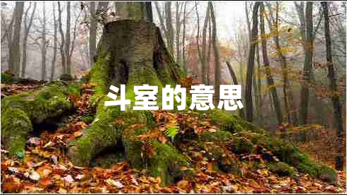 斗室的意思