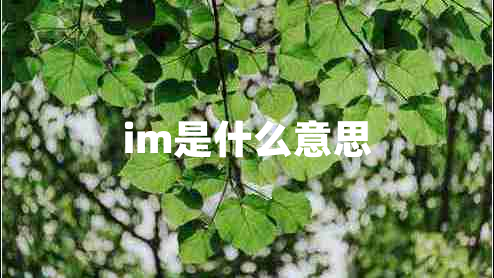 im是什么意思