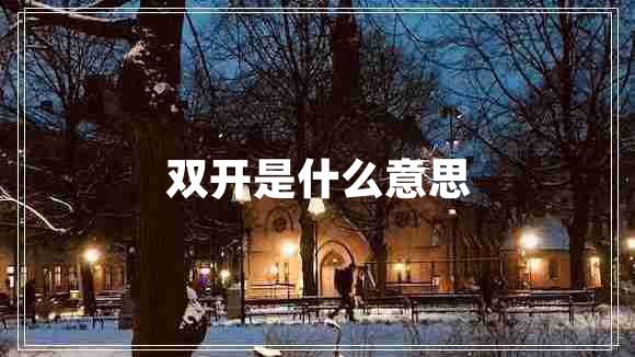 双开是什么意思