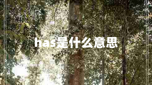 has是什么意思