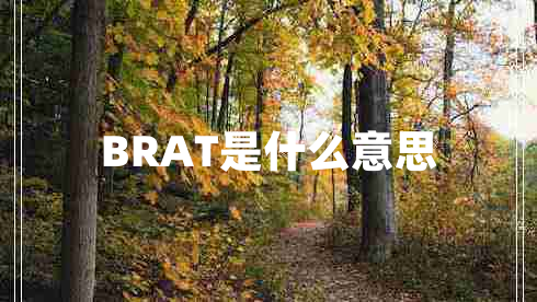 BRAT是什么意思