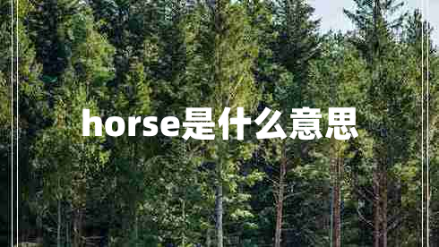 horse是什么意思