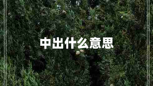 中出什么意思