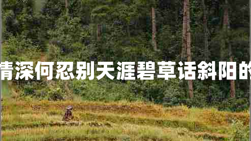 蒙汉情深何忍别天涯碧草话斜阳的意思