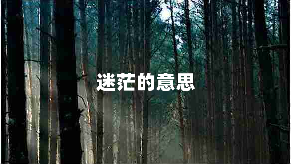 迷茫的意思