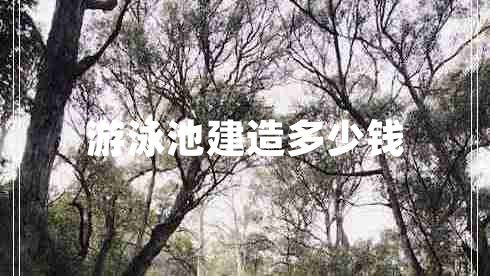 游泳池建造多少钱