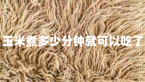 玉米煮多少分钟就可以吃了