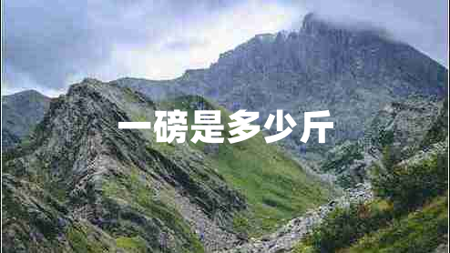 一磅是多少斤