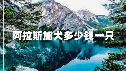 阿拉斯加犬多少钱一只