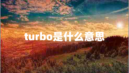 turbo是什么意思