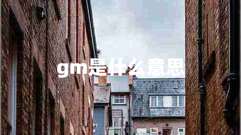 gm是什么意思