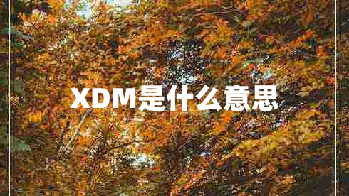 XDM是什么意思