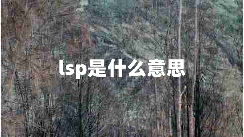 lsp是什么意思