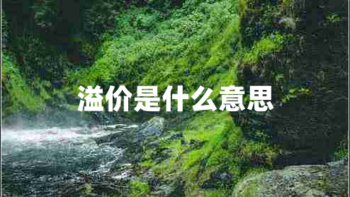 溢价是什么意思