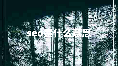 seo是什么意思