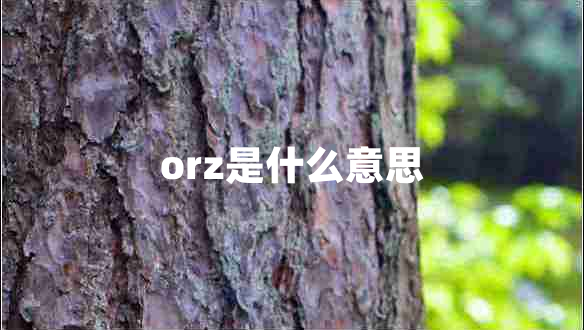 orz是什么意思