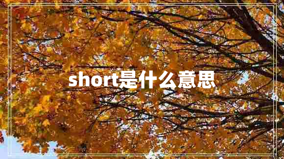 short是什么意思