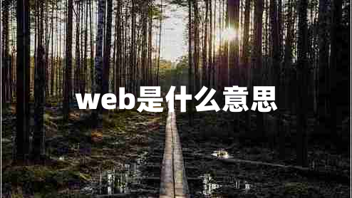 web是什么意思