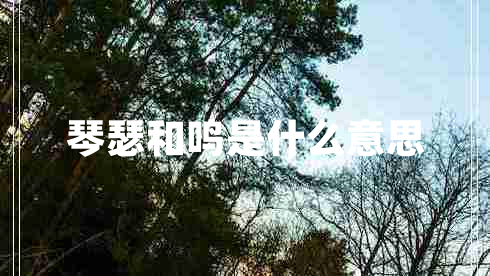 琴瑟和鸣是什么意思